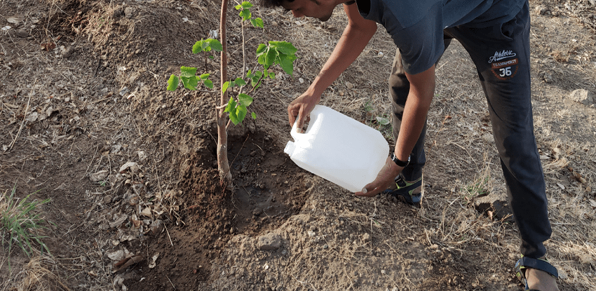 watering to trees ghorawadeshwar